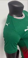 Player Version 26/27 Palmeiras home - Image 2