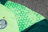 24/25 Palmeiras green Tracksuit - Image 13