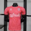 Player Version 25/26 Palestinian Pink