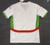 Fans Version 25/26 Morocco away - Image 2