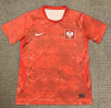 Fan Version 26/27 Poland away