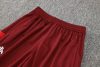 24/25 Brazil Internacional red half zip Tracksuit - Image 34