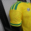 Player Version 26/27 South Africa home - Image 4