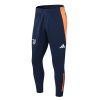 24/25 Juventus royal blue Tracksuit - Image 7