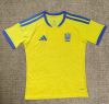 Fans Version 26/27 Ukraine Home