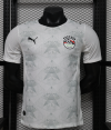 Player Version 26/27 Egypt away