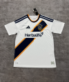 Fans Version 26/27 Galaxy Home