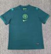 Fans Version 25/26 Nigeria away