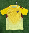 Fan version 25/26 Venezuela