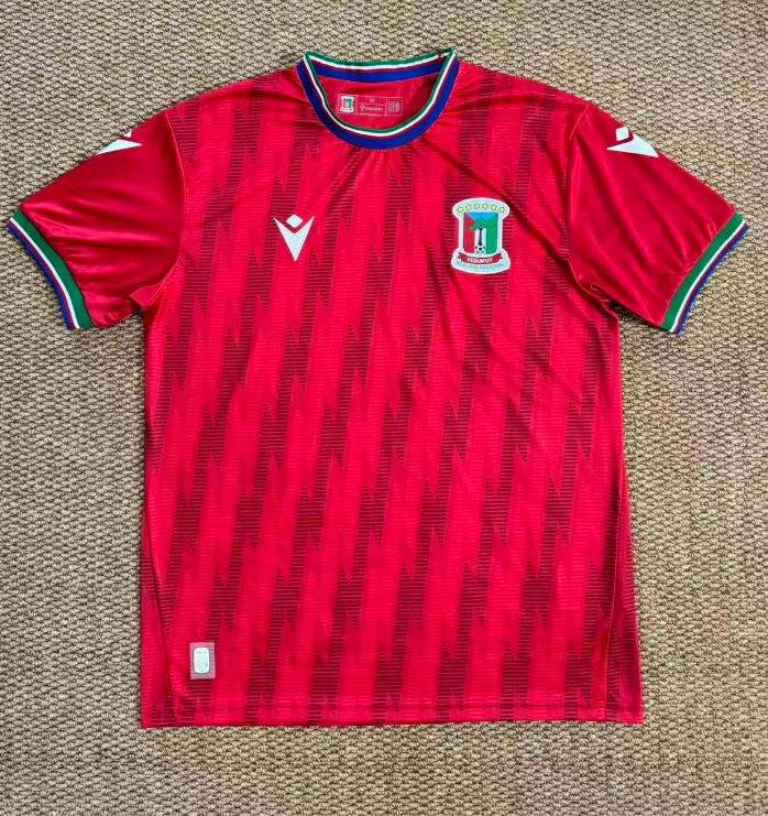 Fans Version 2026 Guinea home - Image 1