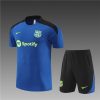 24/25 Barcelona Color Blue Training Soccer Jerseys - Image 4