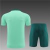 24/25 Tottenham Light green Training Kits - Image 5