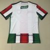 Fans Version 22/23 Palestine home white Without number - Image 3