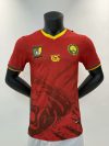 Player Version 25-26 Cameroon