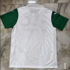 Fans Version 25/26 Palmeiras away - Image 2