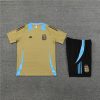 24/25 Argentina golden Training Kits - Image 20
