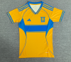 Fans Version 25/26 Tiger home women