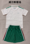 Adults kits 26/27 Wales away - Image 2