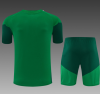 26/27 Algerian green Adults Training Kits - Image 2