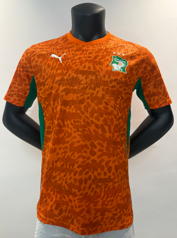 Player Version 26/27 Ivory Coast's home - Image 1