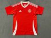 Fans Version 25/26Internacional home