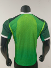 Player Version 26/27 Nigeria home - Image 2