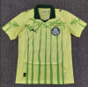 Fans Version 25/26 Palmeiras away