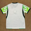 Fans Version 26/27 Nigeria away - Image 4