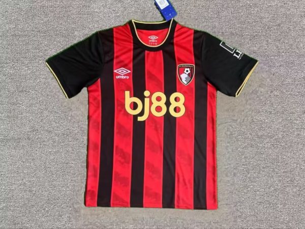 Fans Version 25/26 Bournemouth home - Image 1