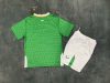 Adults kits 24/25 Ireland home - Image 2