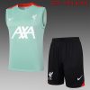 24/25 Liverpool bean green vest