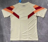 Fans Version 24/25 Lyon training wear - Image 2
