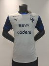 Player Version 24/25 Monterrey Away