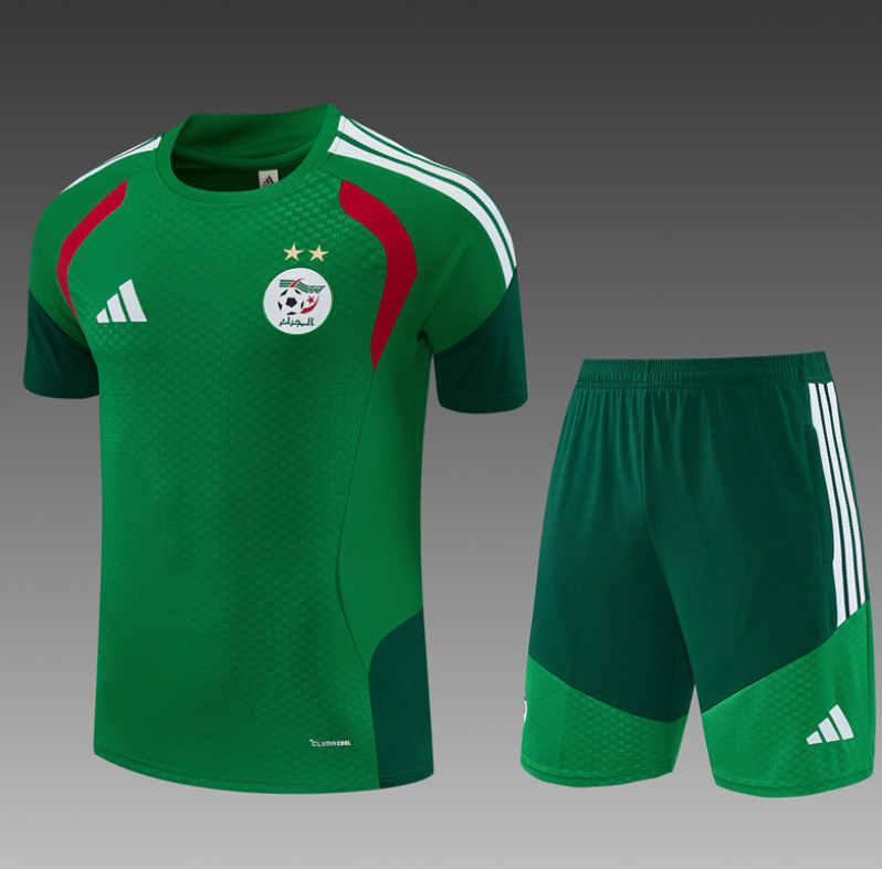 26/27 Algerian green Adults Training Kits - Image 1