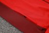 24/25 Brazil Internacional red Jacket Sets - Image 17