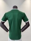Player Version 25/26 Palmeiras home field - Image 2