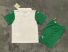 Kids kits 25/26 Palmeiras away - Image 2