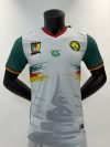 Player Version 25-26 Cameroon home field