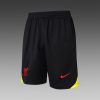 24/25 Liverpool light grey training kits - Image 4