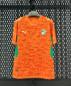 Fan version 26/27 Ivory Coast home
