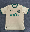 Fans Version 24/25 Palmeiras third away