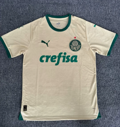Fans Version 24/25 Palmeiras third away - Image 1