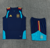 vest Spain Training uniform vest
