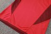 24/25 Brazil Internacional red half zip Tracksuit - Image 21