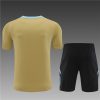 24/25 Argentina golden Training Kits - Image 2