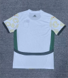 Fan Version 24/25 Côte d’Ivoire away - Image 2
