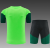 26/27 Mexican green Adults Training Kits - Image 2