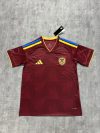 Fan version 25/26 Venezuela home