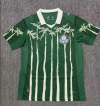Fans Version 25/26 Palmeiras home
