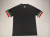 Fans Version 24/25 Palestine black - Image 2